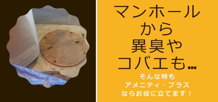 マンホールから異臭やコバエも…